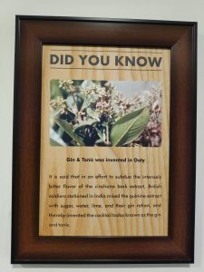 Origin of Gin and Tonic is from Ooty, India